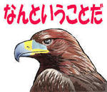 images.jpg
